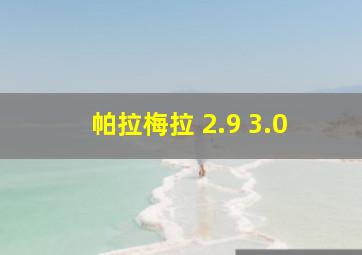 帕拉梅拉 2.9 3.0